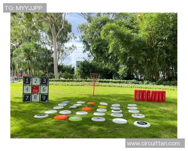 飞盘战术：重庆飞盘队的中路突破体系